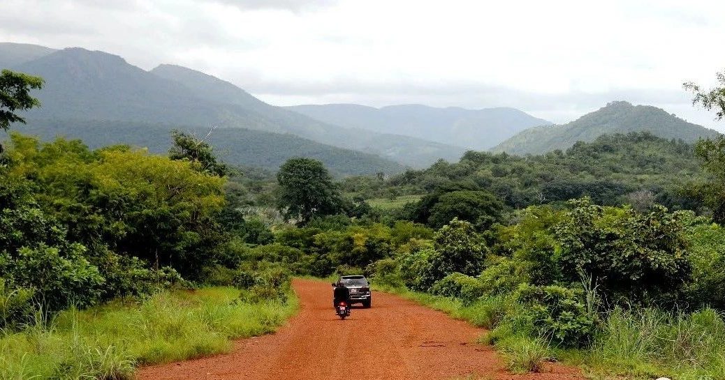 searchresultsfor几内亚